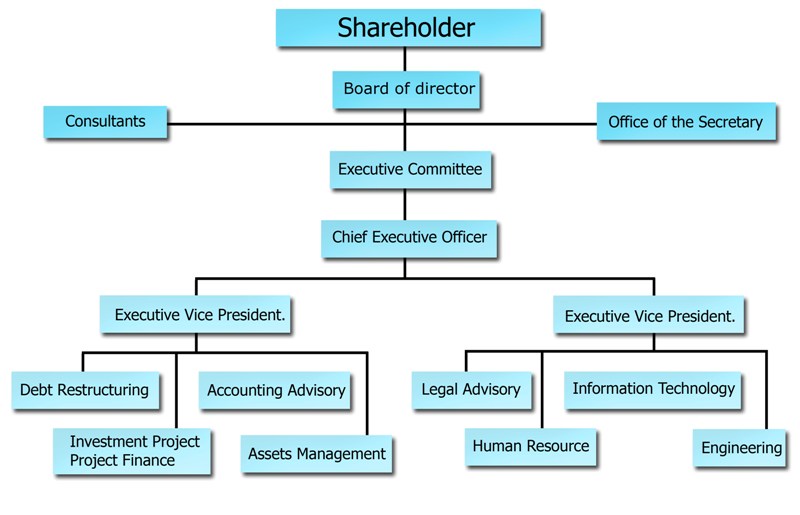Organization Chart Financial Advisor C am Creation Co Ltd 